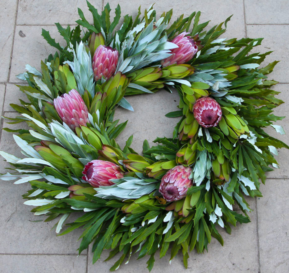 Radiant Silver and Pink Protea Wreath