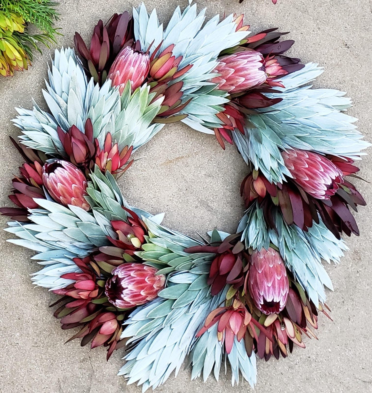 Silver, Red, And Pink Ice Protea Wreath