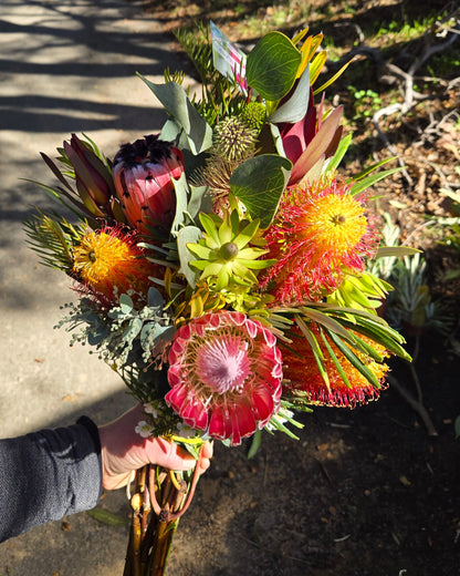 Banksia Beauty Bouquet