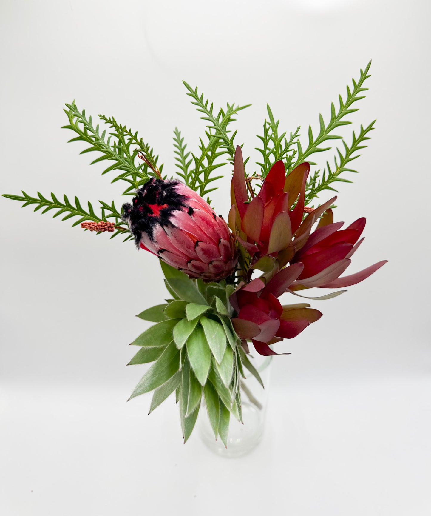 Winter Wonder Protea Bouquet