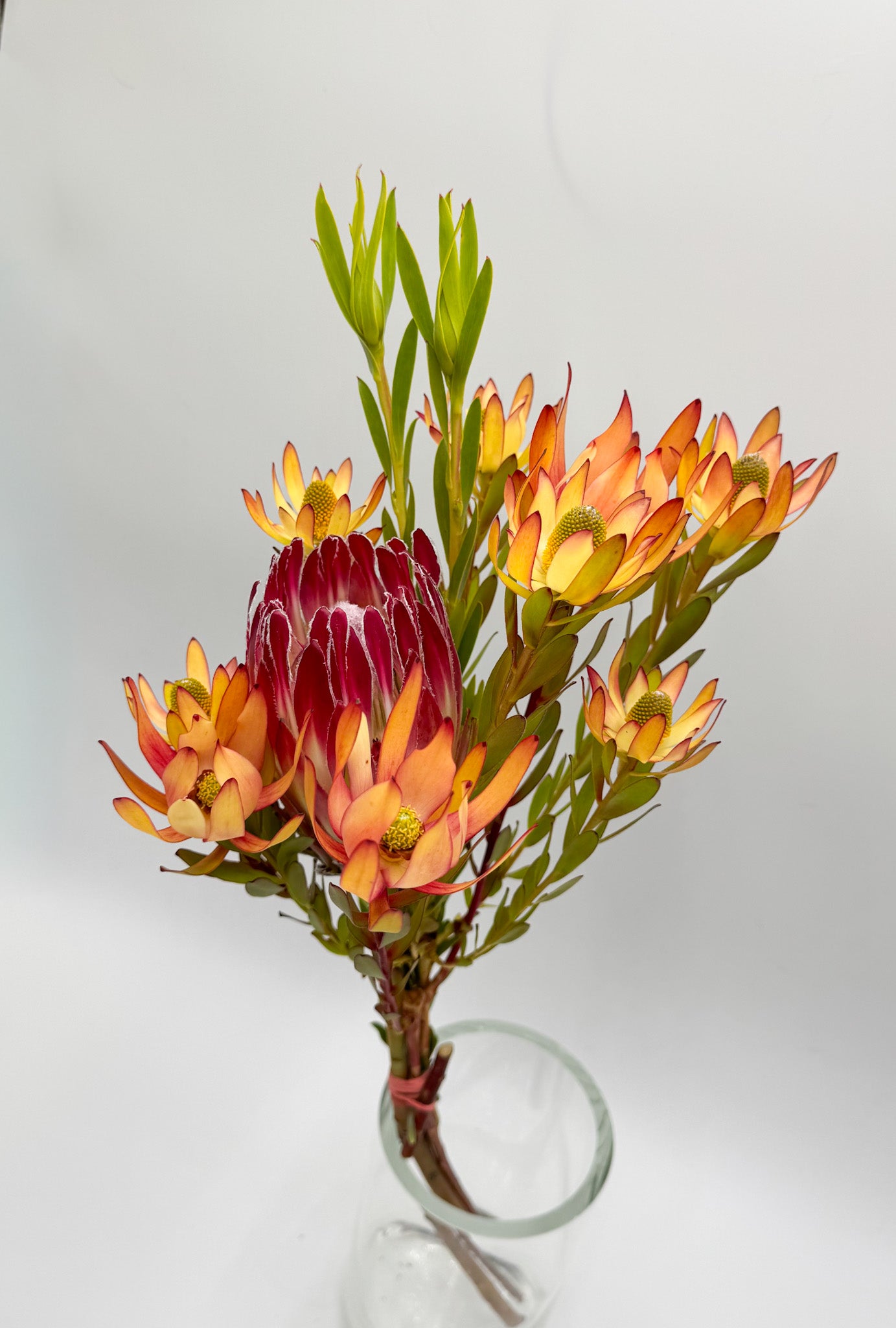 Firestarter Protea Bouquet