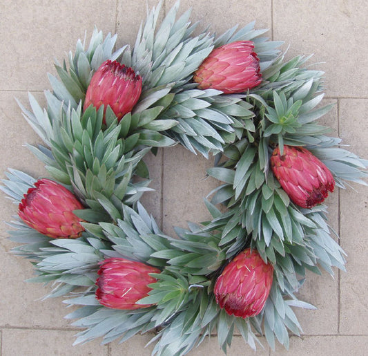 Pink & Silver Protea Wreath