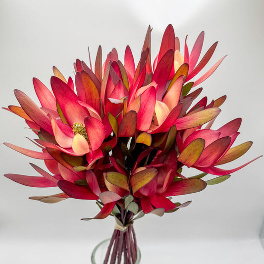 Sunset Glow Protea Bouquet